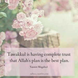 Meet your Posher, Ling